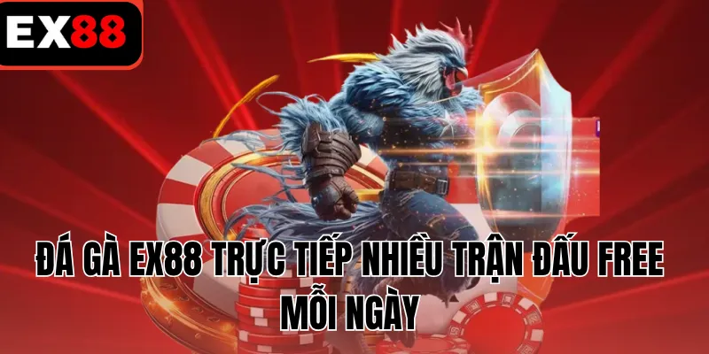 Đá gà EX88 trực tiếp nhiều trận đấu free mỗi ngày