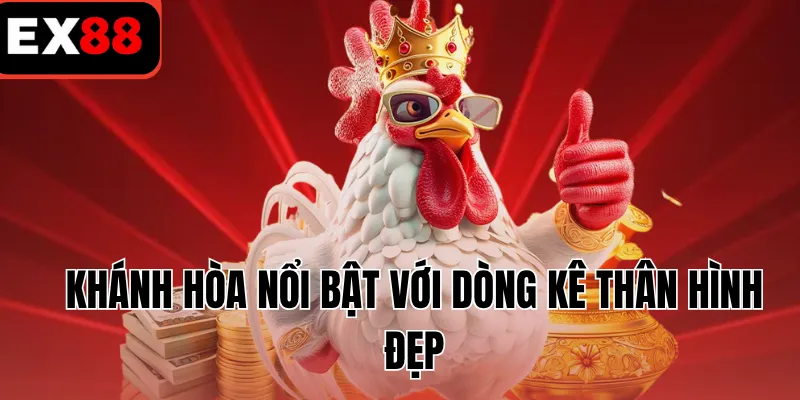 Khánh Hòa nổi bật với dòng kê thân hình đẹp