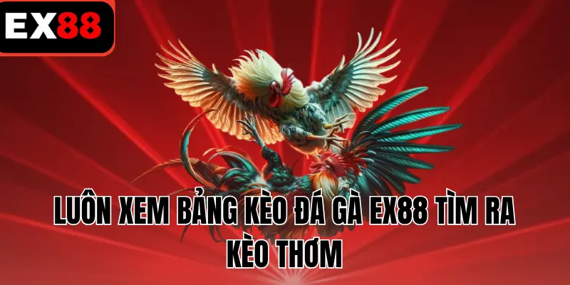 Luôn xem bảng kèo đá gà EX88 tìm ra kèo thơm